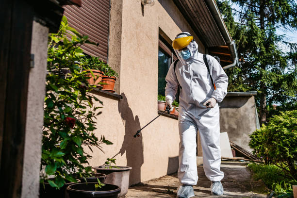 Reliable Cheshire Village, CT Pest Control Solutions