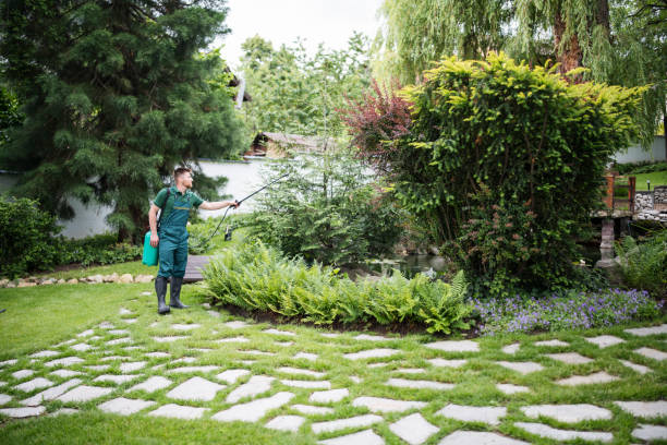 Best Pest Removal Services  in Cheshire Village, CT