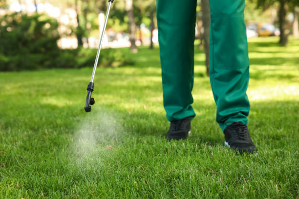 Best Mosquito Control Services  in Cheshire Village, CT