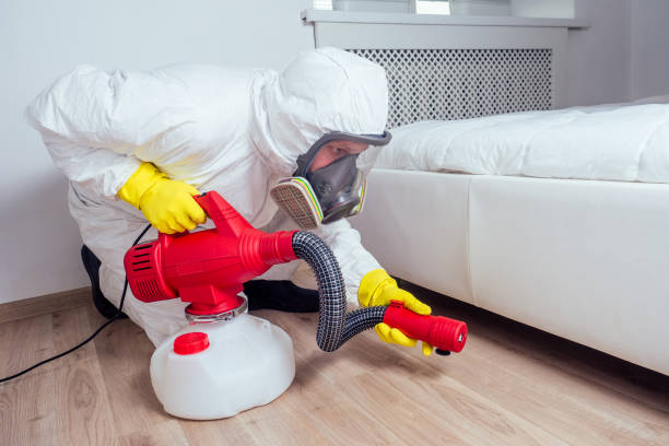 Best Cockroach Control Services  in Cheshire Village, CT