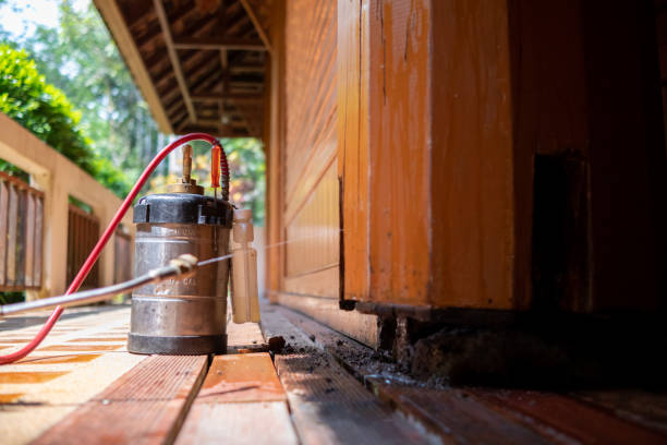 Best Affordable Pest Control Services  in Cheshire Village, CT