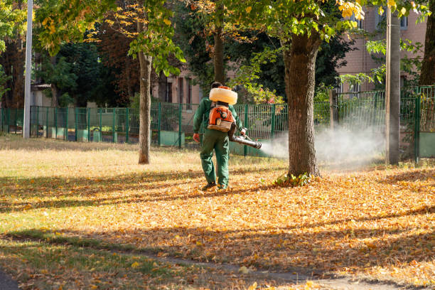 Wasp Removal Services in Cheshire Village, CT