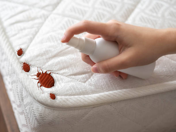 Best Residential Pest Control  in Cheshire Village, CT