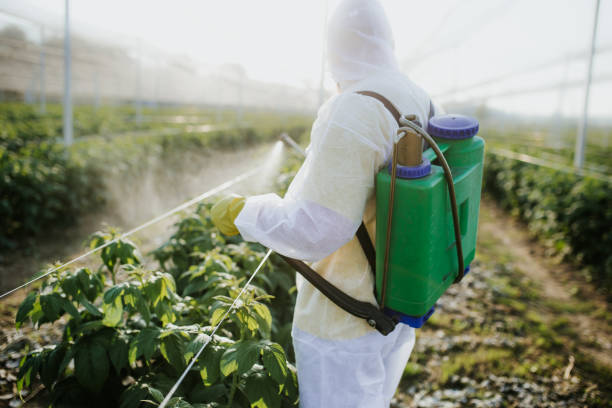 Best Local Pest Control Services  in Cheshire Village, CT